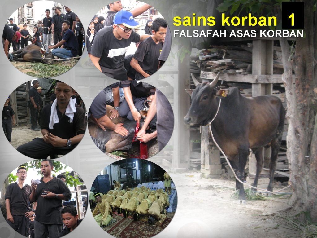 KORBAN 1